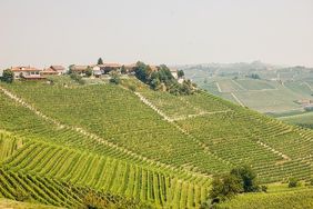 Wanderungen und Weinprobe mit Kultur im Piemont