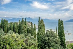 Botanische Wanderungen im Gardaseegebiet