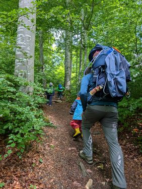 FG Zwergsteiger: Laternenlaufen Wasenwald