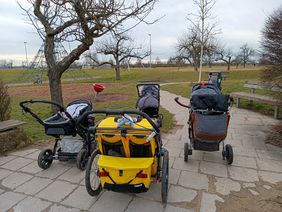 FG Zwergsteiger: Marienkäferweg bei Erpfingen