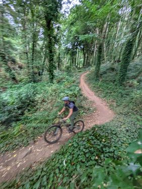 Freiburger Home Trails erkunden