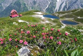 Grundkurs Bergwandern - abgesagt